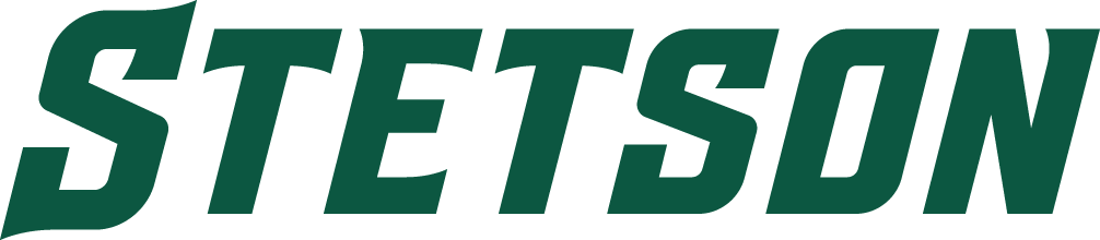 Stetson Hatters 2018-Pres Wordmark Logo diy iron on heat transfer